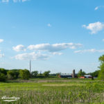 Farm and grain silos